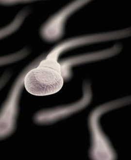 Alergija na spermu
