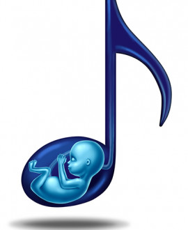Da li beba u materici reaguje na zvuk muzike?