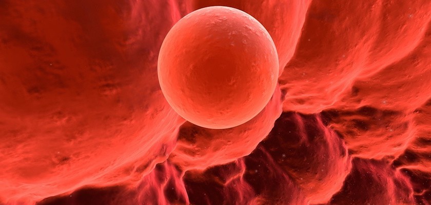 Postupak In Vitro Maturation (IVM)