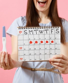 Kalendar trudnoće - računanje trudnoće po nedeljama, mesecima, trimestrima i termin porođaja