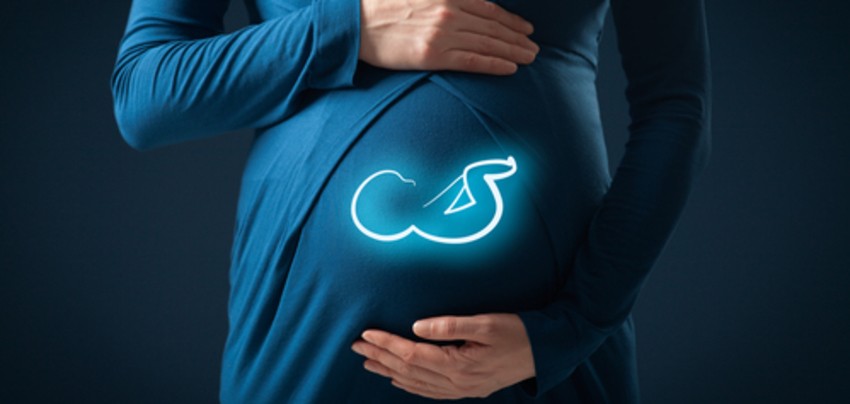 Kvadripl test - prenatalna dijagnostika pojedinih defekata i hromozomskih anomalija