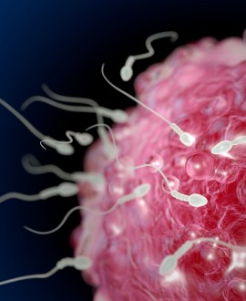 Spermogram - osnovni pokazatelj plodnosti muškarca