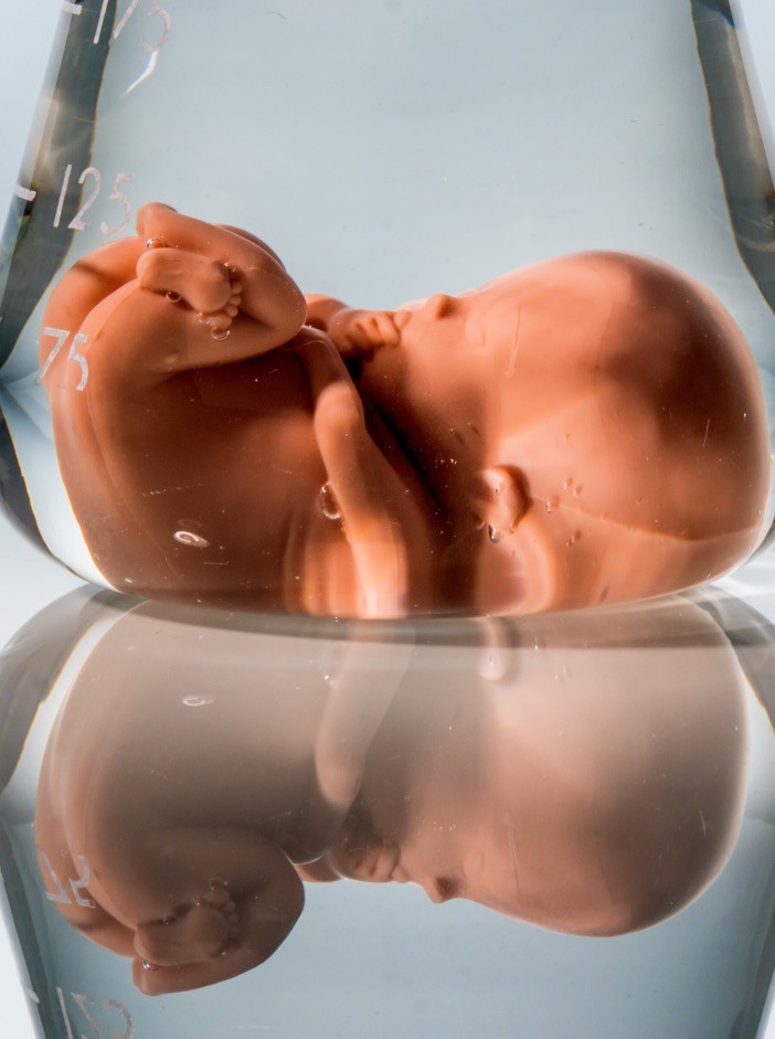 Plodova voda (amnionska tečnost) - boja, količina i uloga u razvoju fetusa