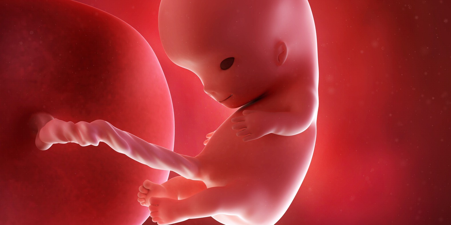 deseta nedelja trudnoće