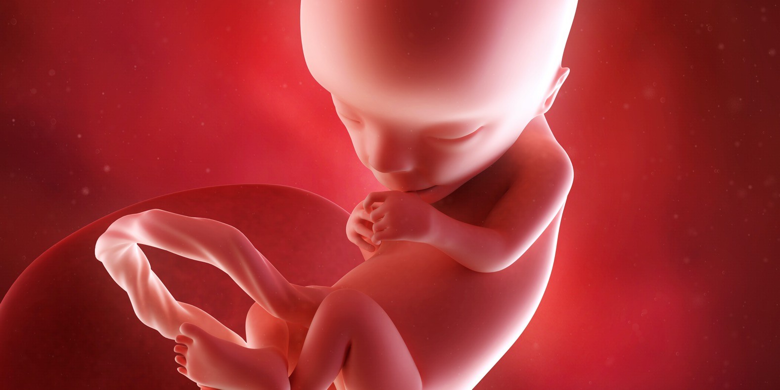 trinaesta nedelja trudnoće