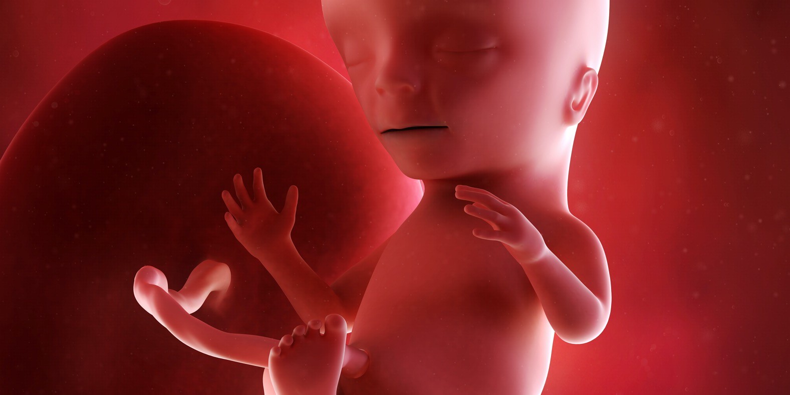 petnaesta nedelja trudnoće