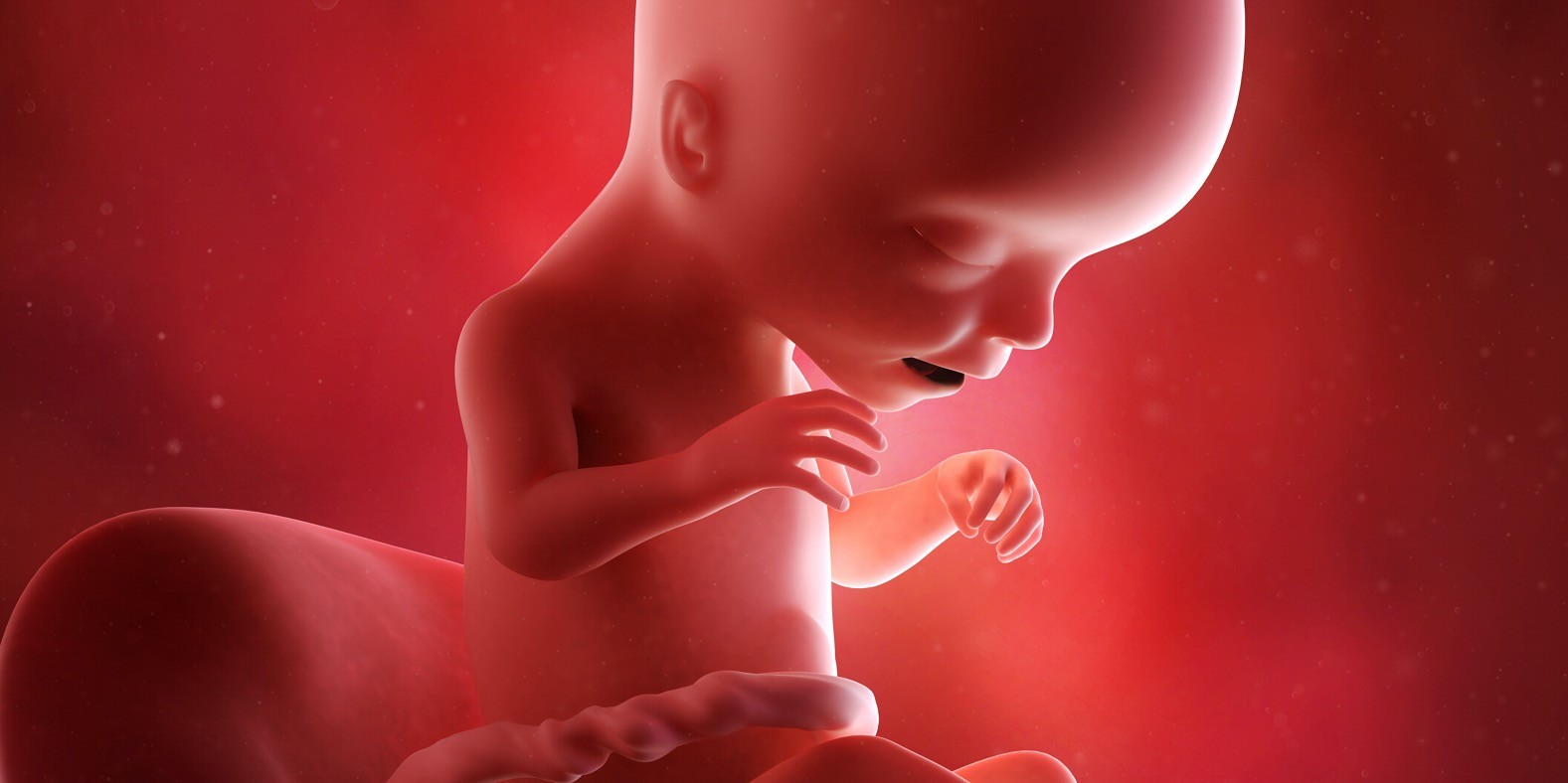 sedamnaesta nedelja trudnoće