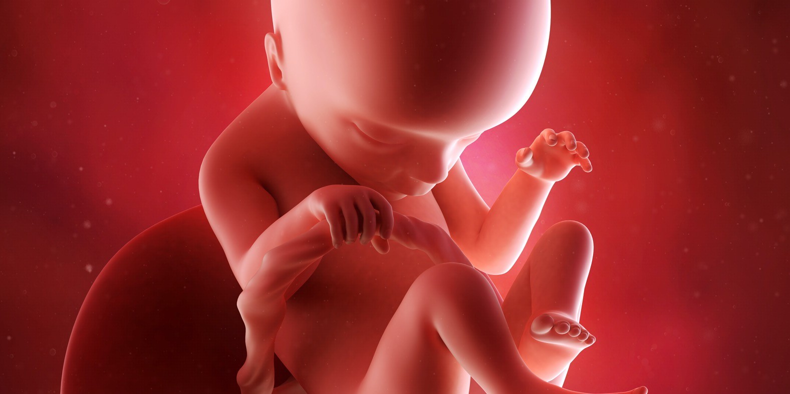 osamnaesta nedelja trudnoće