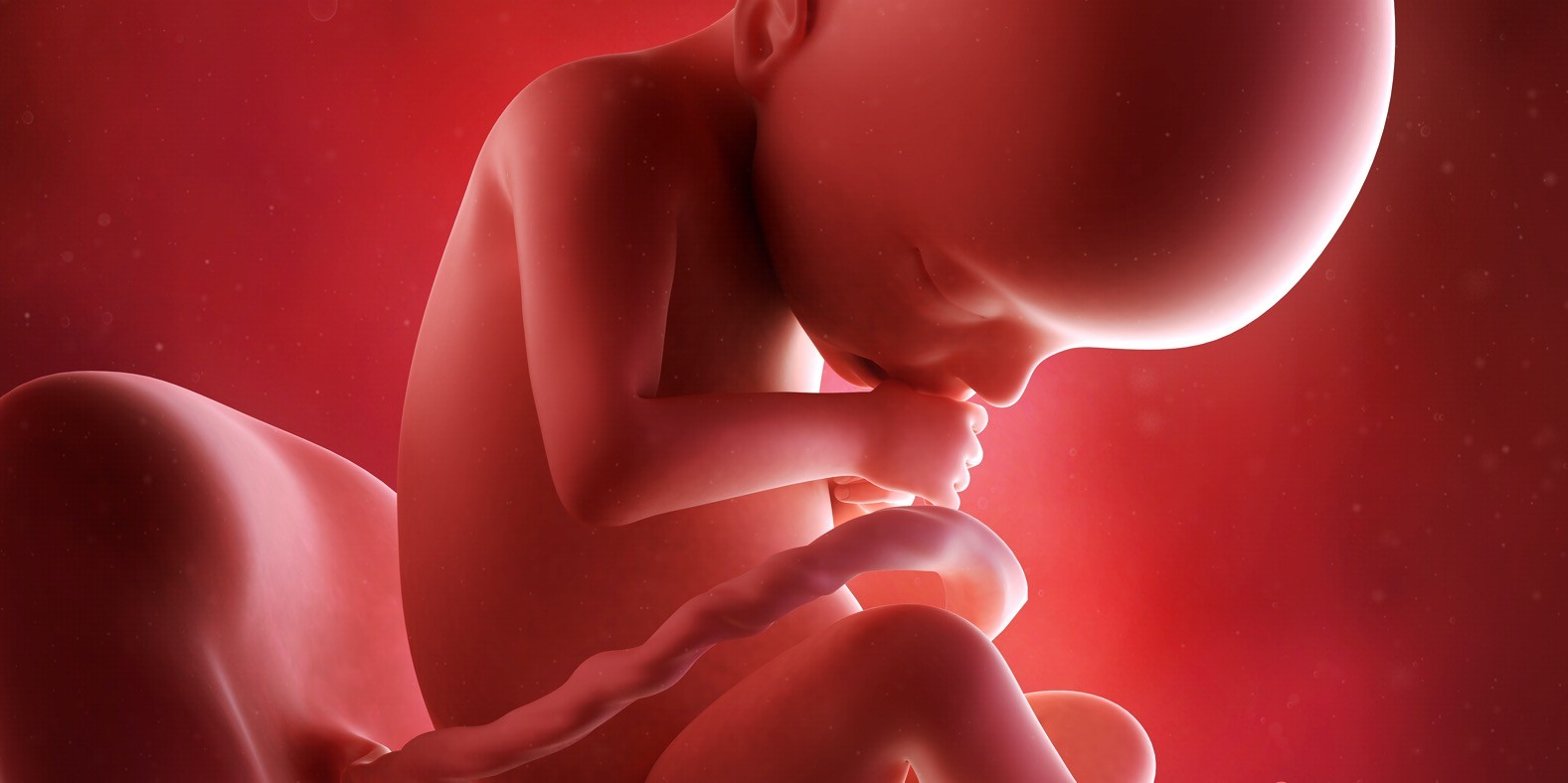 dvadesetdruga nedelja trudnoće