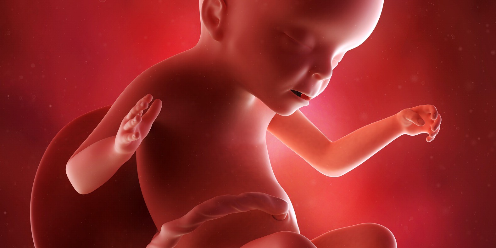 dvadesettreća nedelja trudnoće