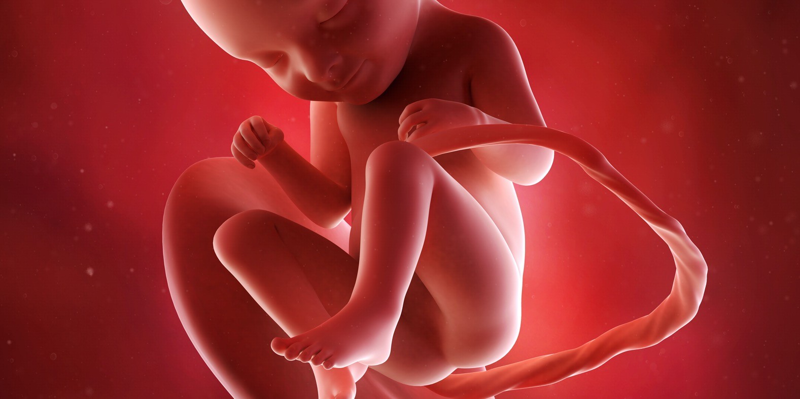 tridesettreća nedelja trudnoće