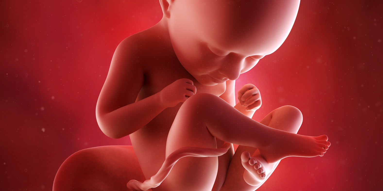 Tridesetpeta nedelja trudnoće