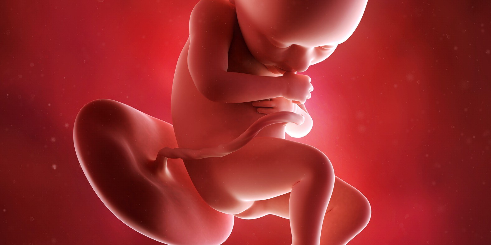 tridesetšesta nedelja trudnoće