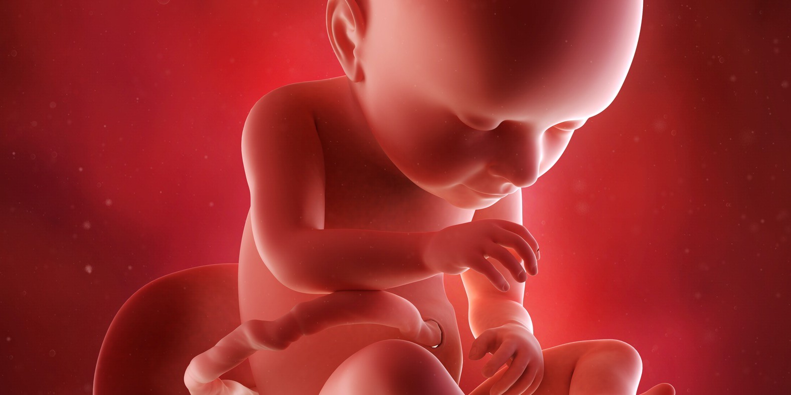 tridesetsedma nedelja trudnoće