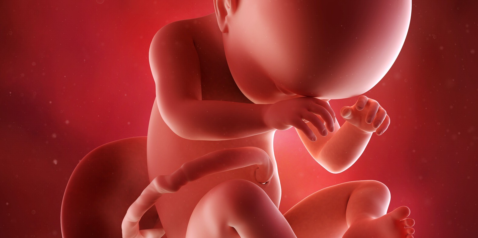 tridesetosma nedelja trudnoće