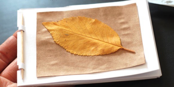 slikovnica sa liscem 2.jpg