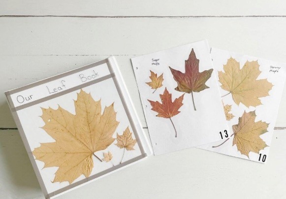 slikovnica sa liscem 5.jpg