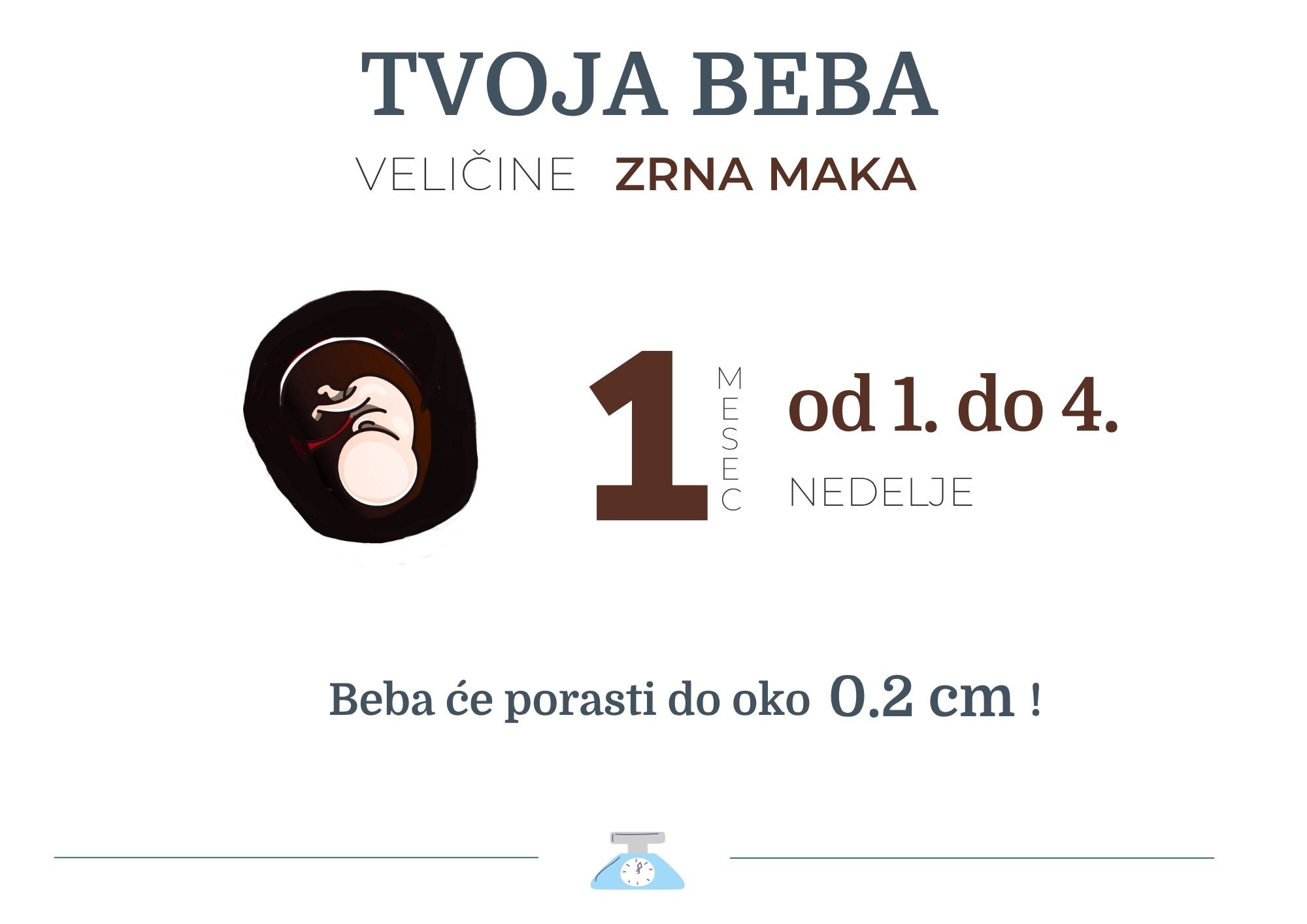 beba velicine zrna maka.jpg