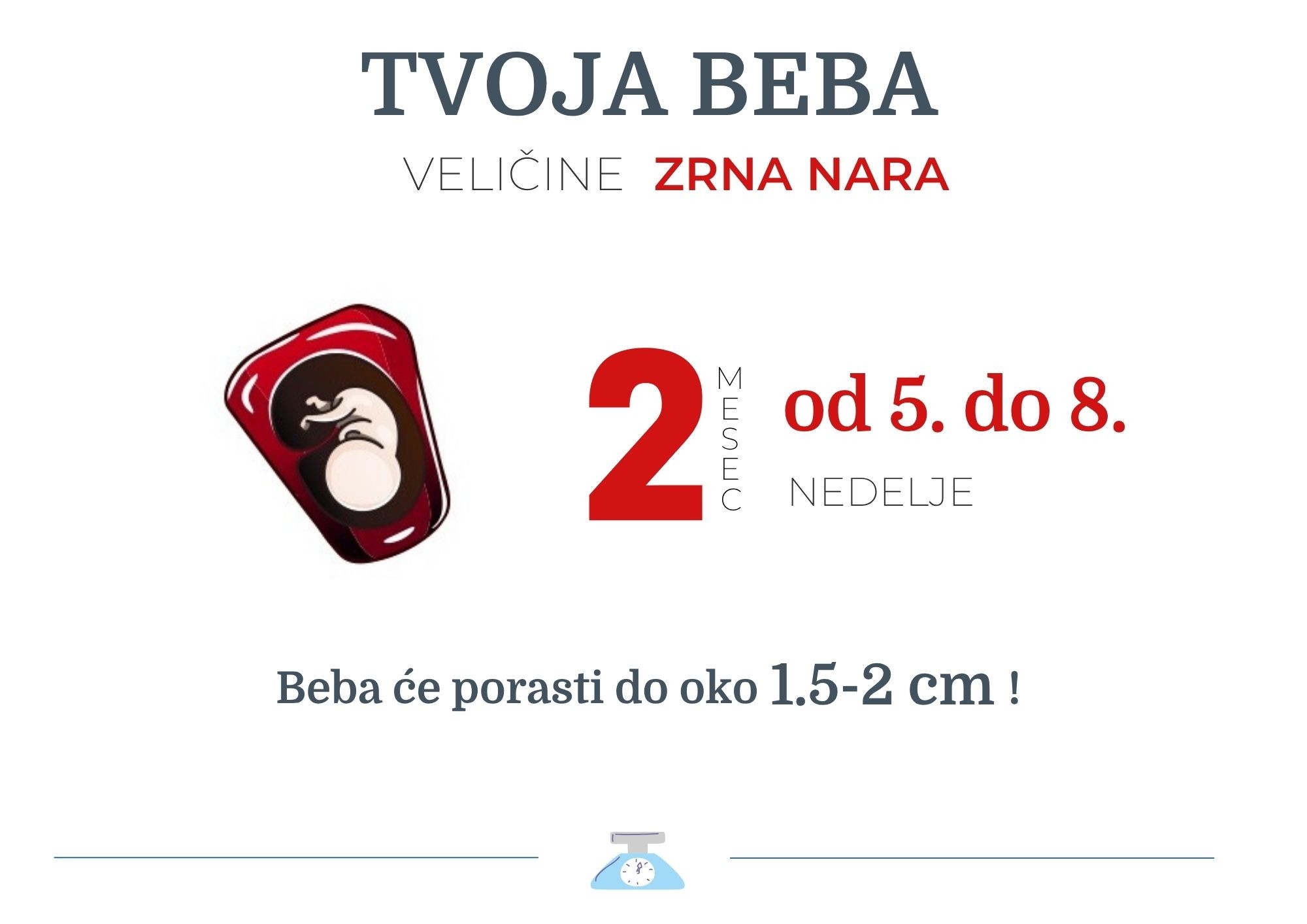 beba velicine zrna nara.jpg