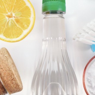 toksini u trudnoći